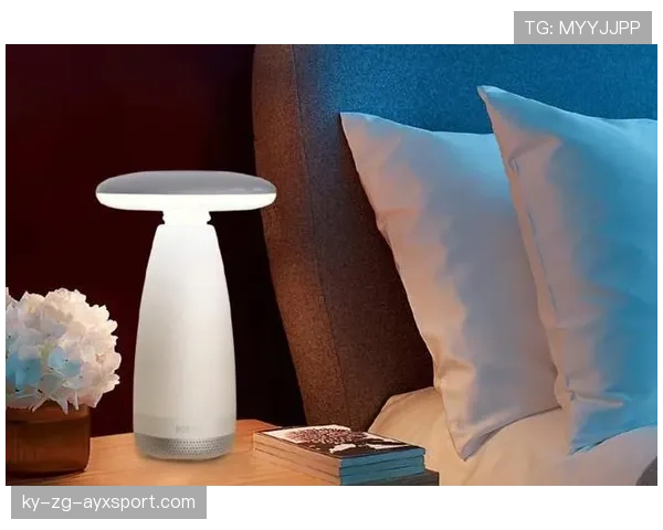 球场夜灯熄灭后的老鼠开始活动，球场夜灯熄灭后的老鼠开始活动了怎么办